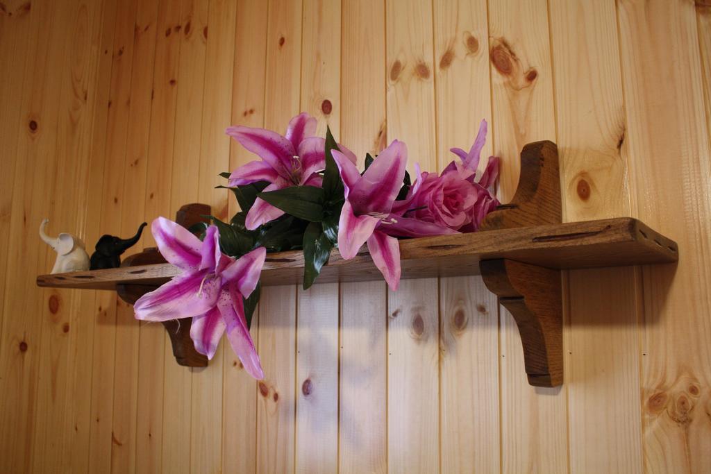 Home In Garfagnana Vagli di Sotto ภายนอก รูปภาพ